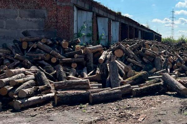 На Запоріжжі за дрова для ЗСУ переплати 20 мільйонів – БЕБ