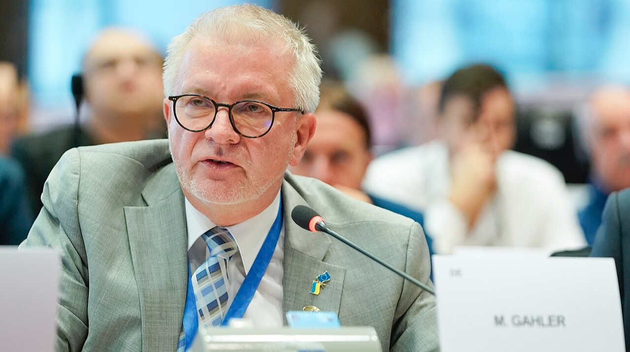 У Європарламенті описали схему вступу України в ЄС за наявності окупованих територій