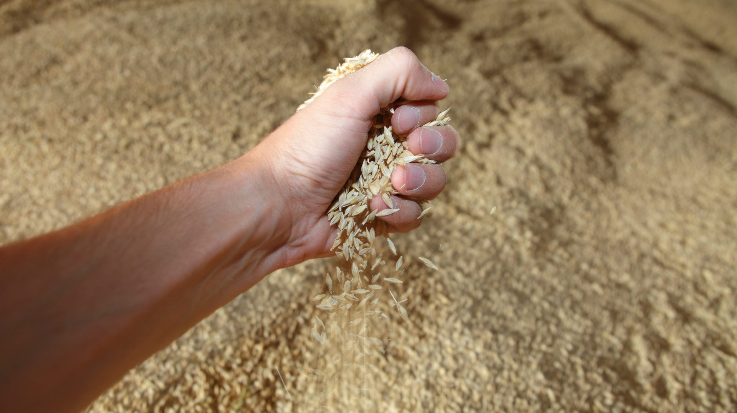 Ембарго на агроекспорт з України: Польща знайшла нову причину не скасовувати заборону