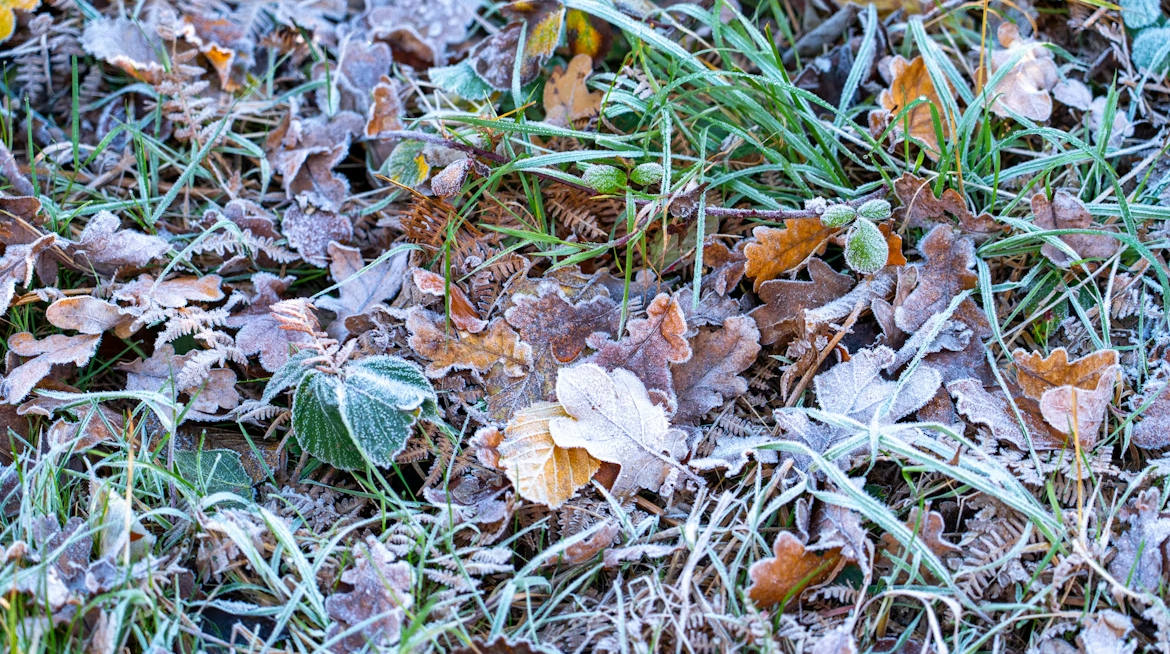Дощ, мокрий сніг та до -5° – погода на найближчі дні