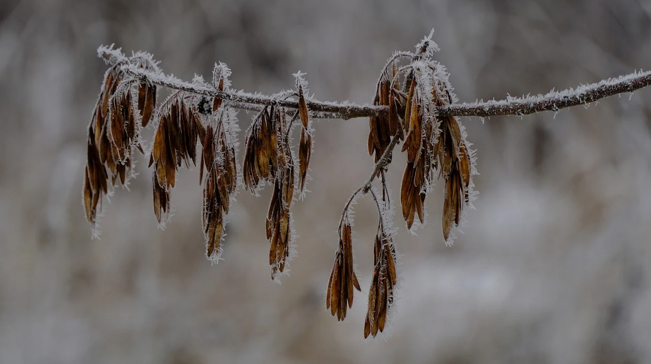 На вихідних в Україні без опадів, лише на заході в неділю дощ і мокрий сніг