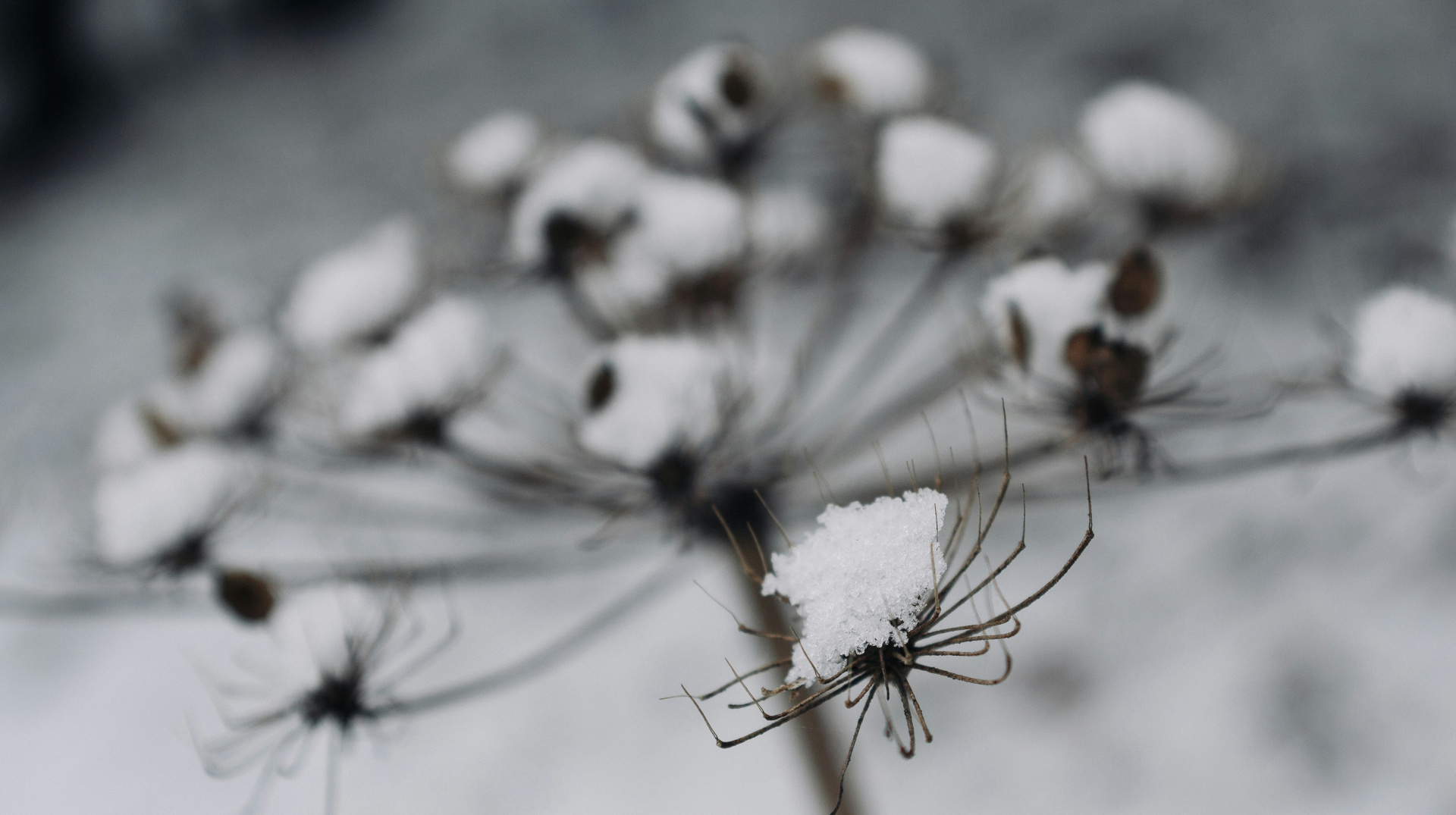 На вихідні синоптики обіцяють українцям сніг і морозець