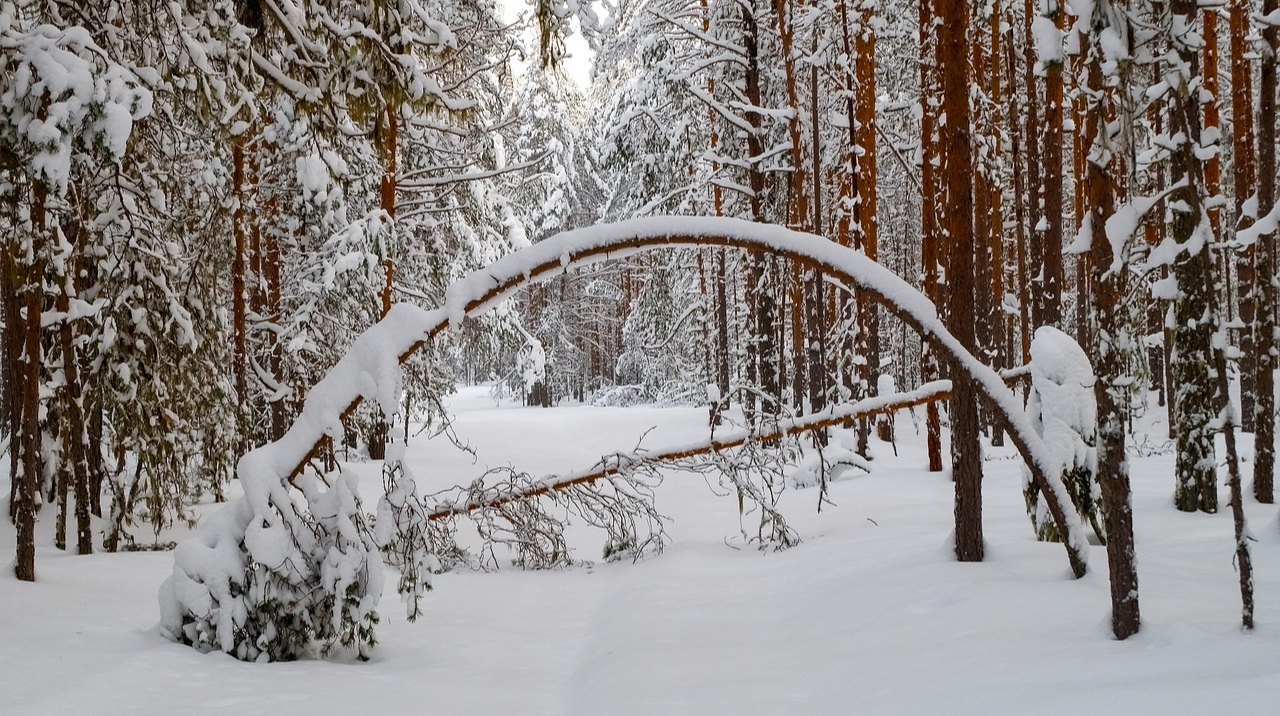 В Україну йде погіршення погоди – синоптики