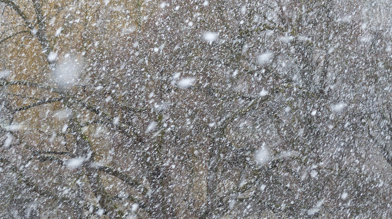 Значний сніг, дощ і до -16° – прогноз погоди на 3 дні