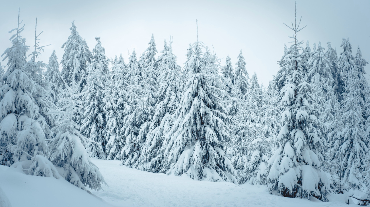 Синоптики прогнозують послаблення морозів