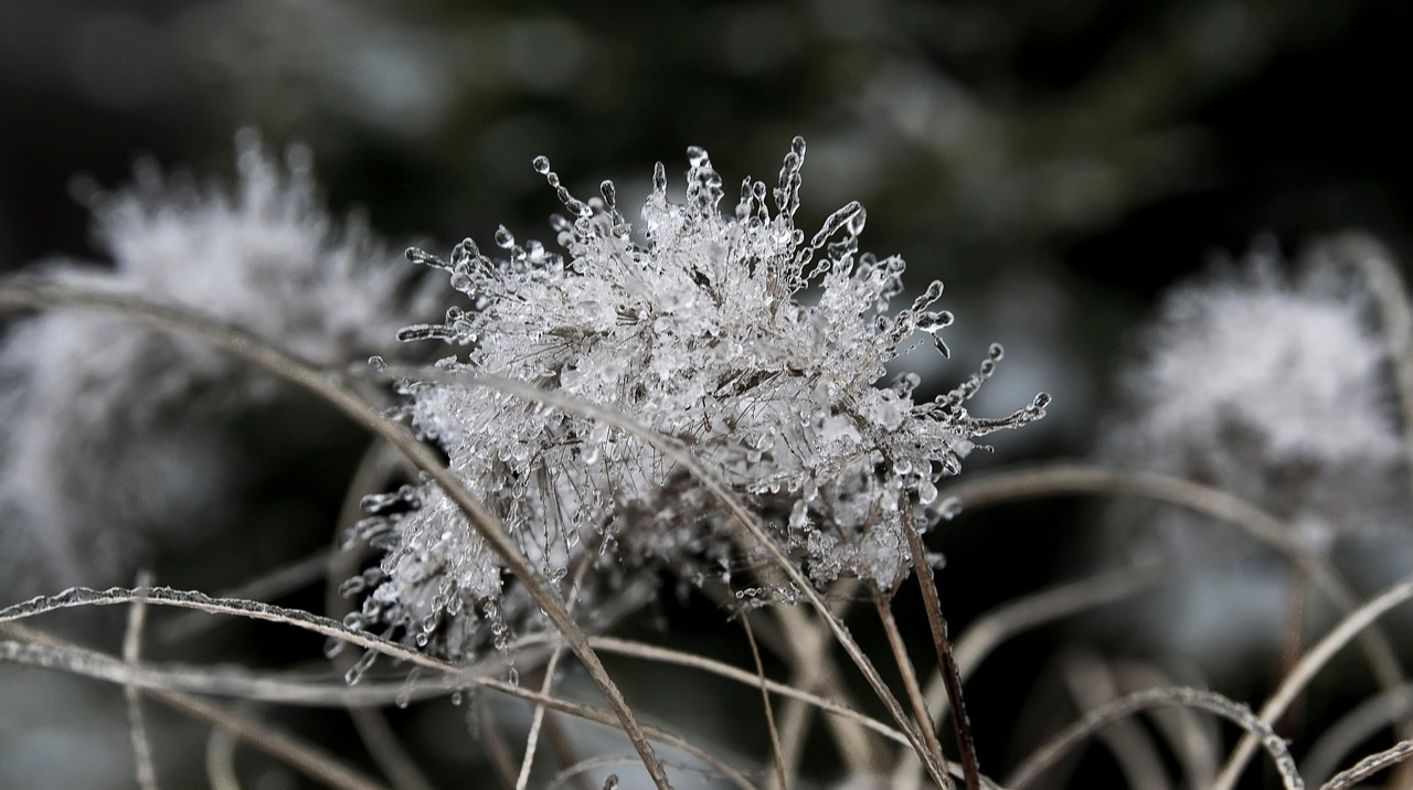 Мокрий сніг, дощ і подекуди до 16° морозу – прогноз погоди на 3 доби