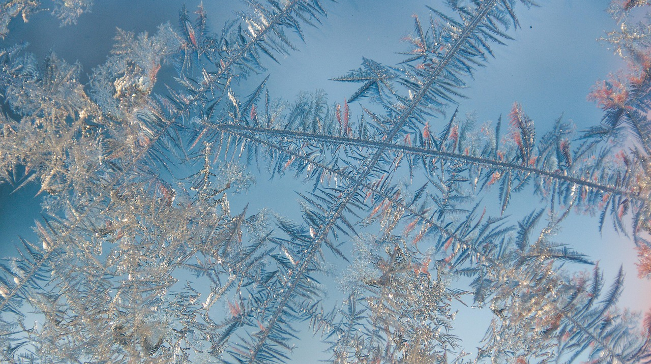 В останні дні січня повернуться морози