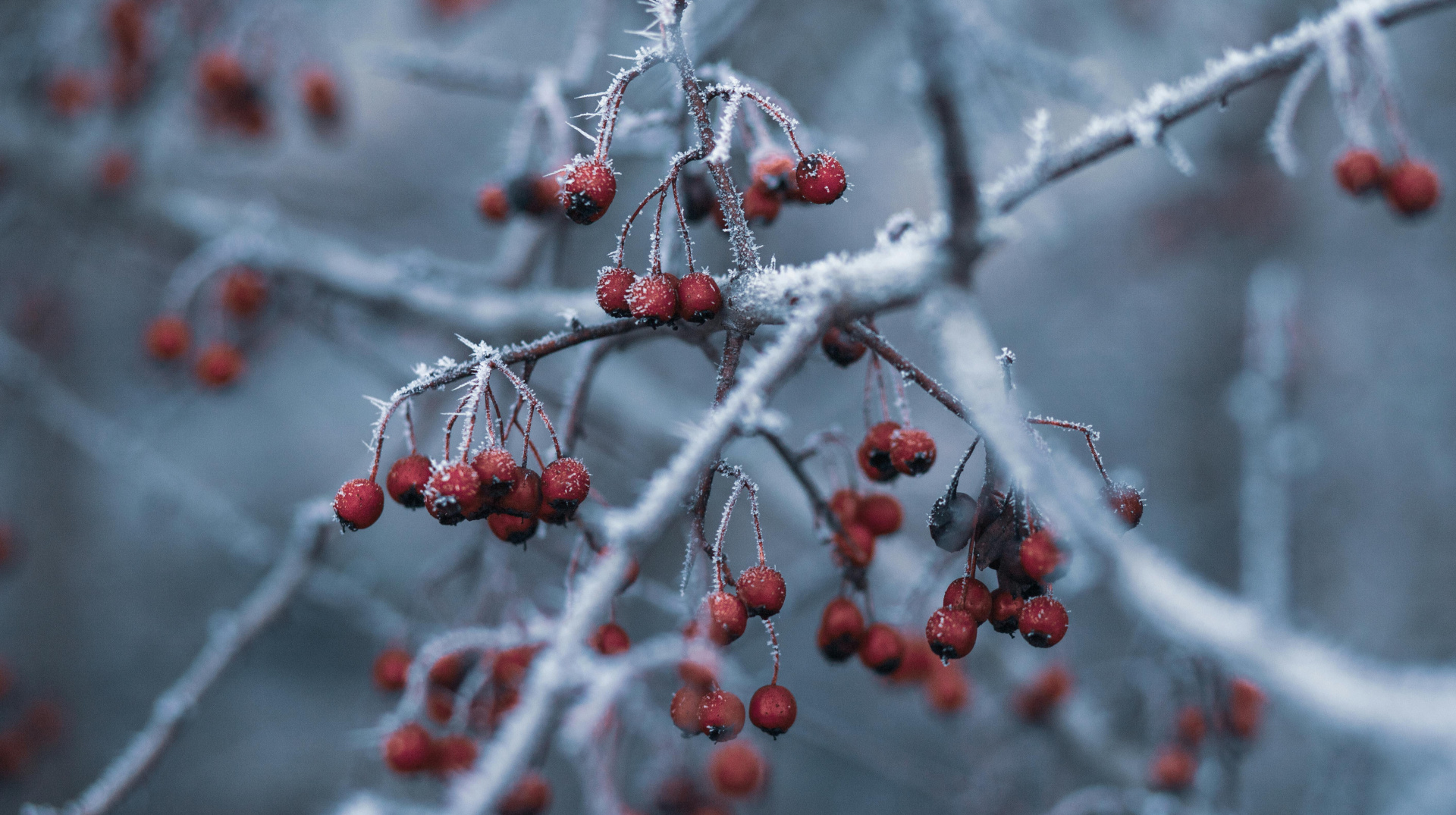 Погода в Україні на вихідних погіршиться, в понеділок очікується до 11° морозу