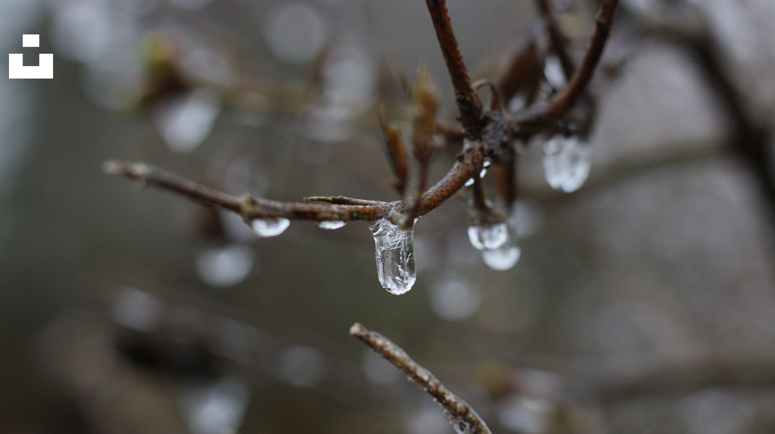 Березень прийде з потеплінням до +12