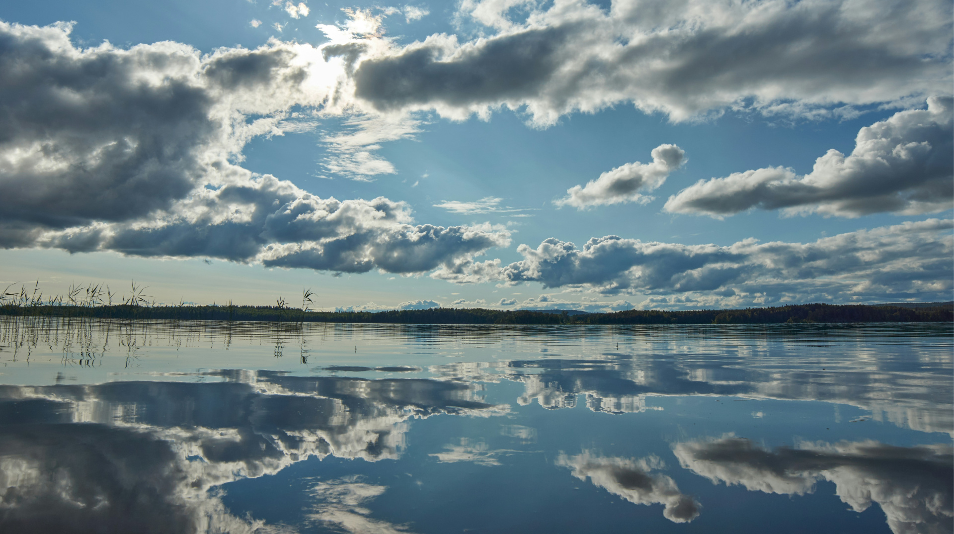 Лишилося дві морозні ночі: синоптики прогнозують потепління