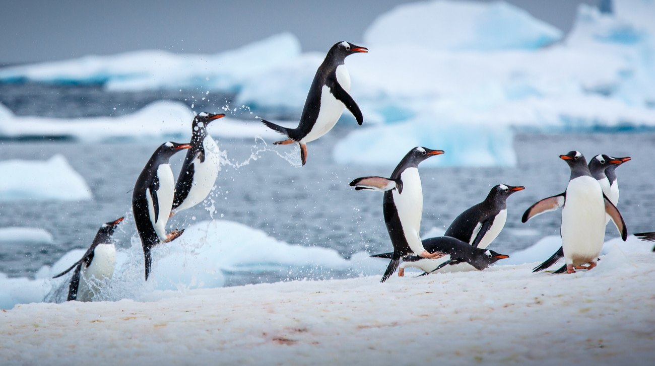 Київ пережив найхолоднішу зиму за 15 років  – метеорологи