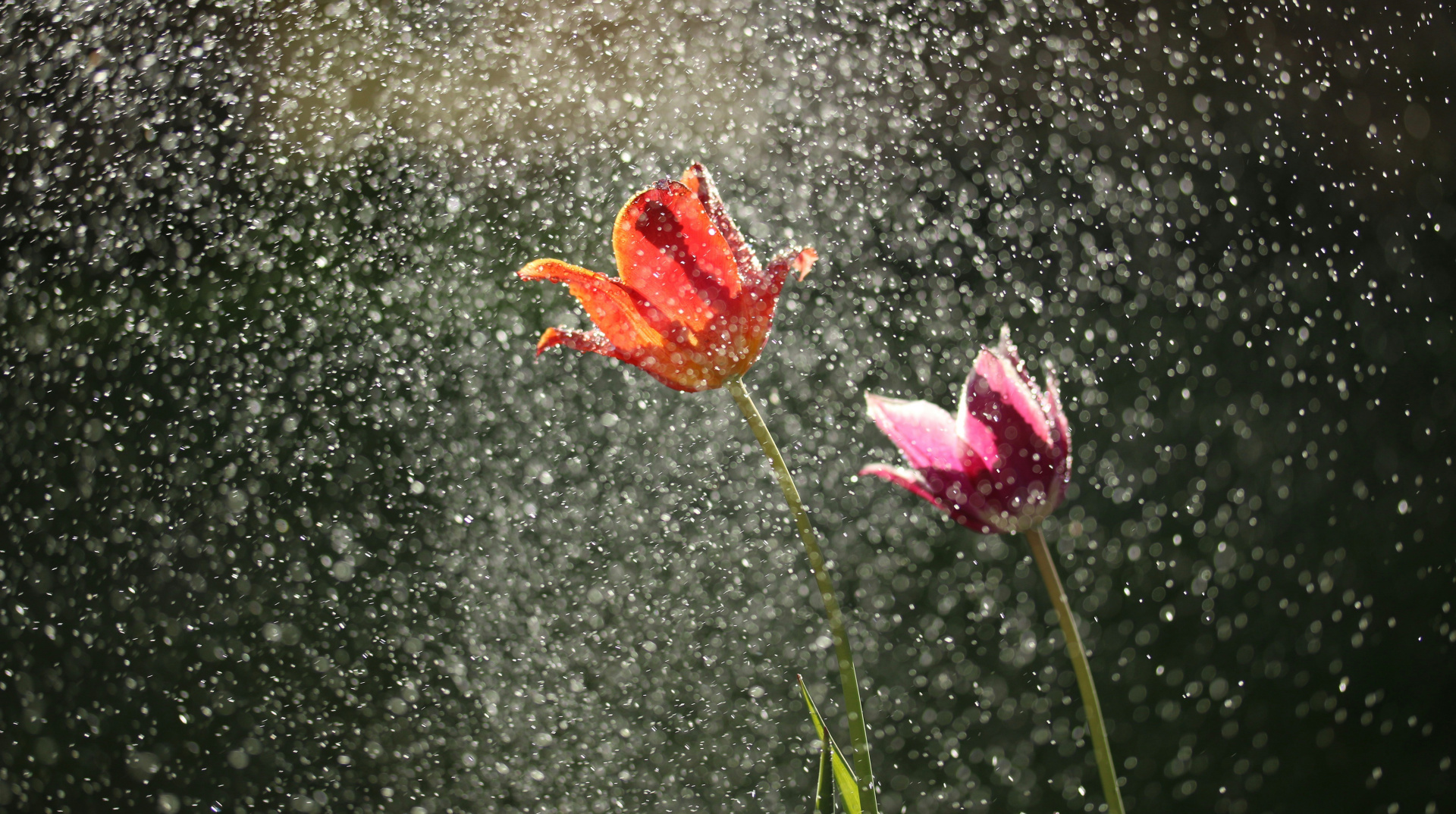 Невелике потепління і місцями дощ: синоптики дали прогноз на вихідні