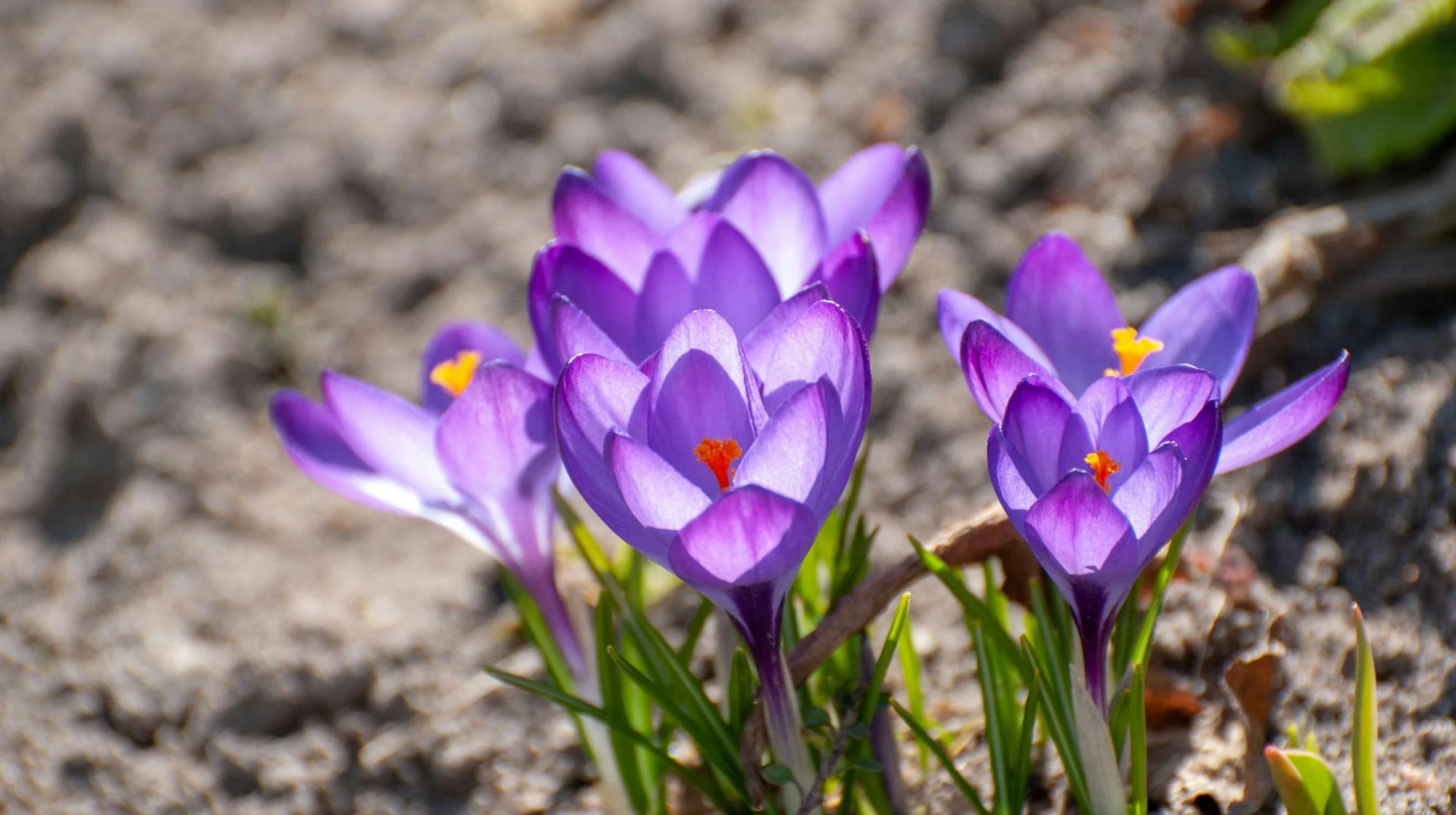 На вихідних в Україні стане трохи тепліше